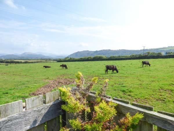 Muncaster View Villa Drigg Ngoại thất bức ảnh